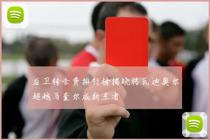 后卫转会费排行榜揭晓格瓦迪奥尔超越马奎尔成新王者